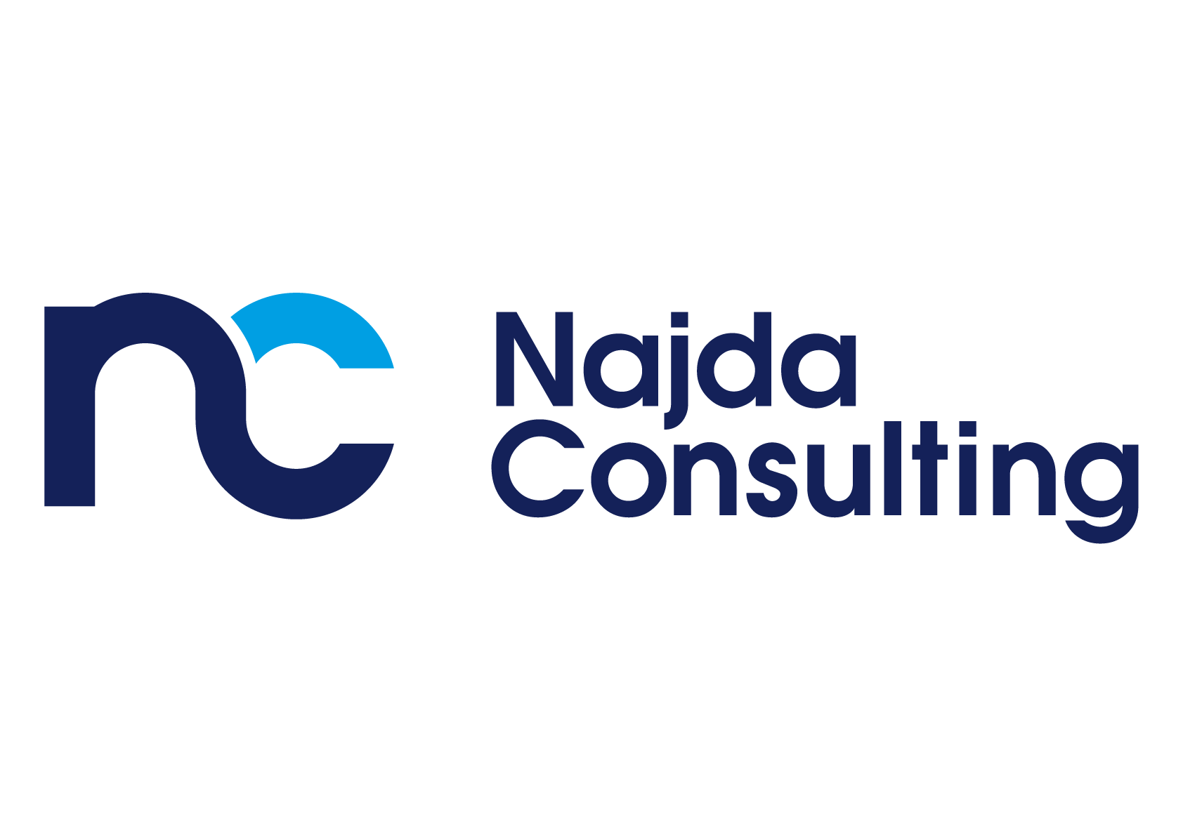 Logo Najda Consulting